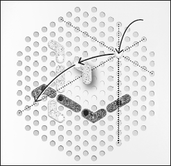 Obrázek 2b: Hráč vezme hrací kámen, kterým chce pohnout, a položí označovací kámen na místo, na kterém byl PÜNCT kamene. Pak provede pohyb hracím kamenem v přímé linii.