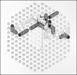 Obrázek 3b: Dříve než se kámen položí na jiný kámen, je možné jím otočit.