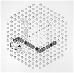 Obrázek 2c: Dříve než se kámen opět položí na desku, je možné s ním otočit (kolem PÜNCTu jako kolem osy).