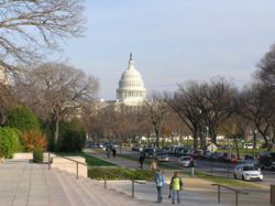 Cap capitol washington.jpg