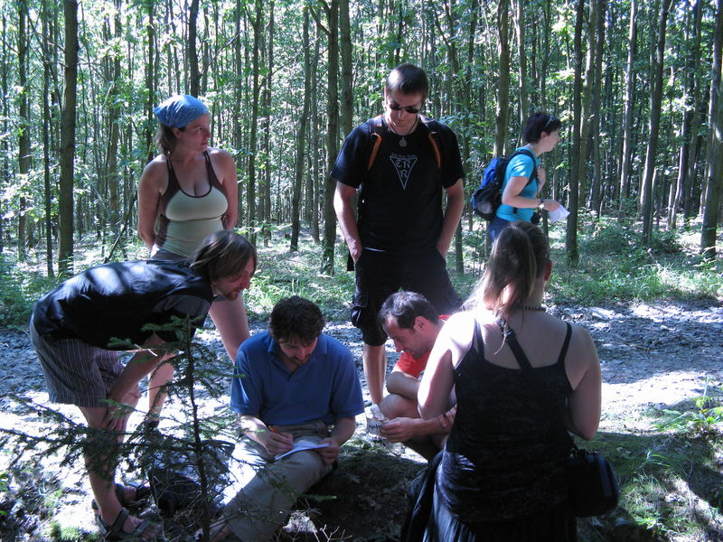 Soubor:IMG 4713.JPG